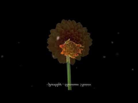 Sparkling Aluminum Daisies - Astro Wolve