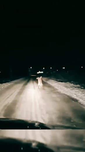 RAM13 (@elumatec_ram13)’s videos with Car Bass Collapse - Ganger Baster