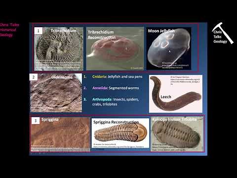 Precambrian Earth and Life History The Proterozoic Eon Part 2 - Part 3