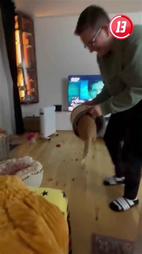 When Animals Lose Control and Get Silly