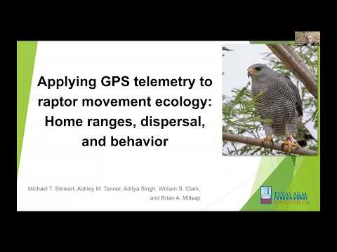 Applying GPS telemetry to raptor movement ecology: Home ranges, dispersal, and behavior