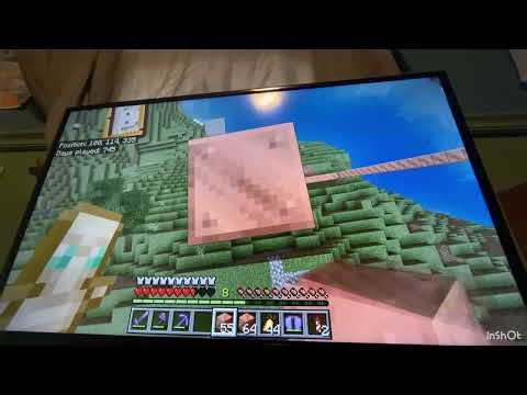 I built a fifty subscriber plaque. In Minecraft.