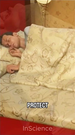 💤This Bed Could Save You in an Earthquake