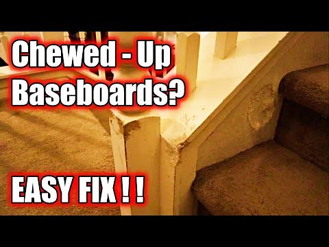 How to Repair Damaged Baseboards | DIY Repair Damaged Trim | Fix Pet Damage | Dog Chewed Trim Repair