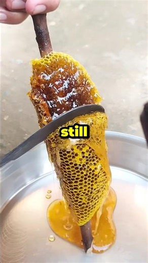 Have you ever used a fake name once and everyone still calls you that? #gataonly