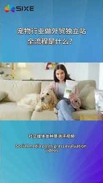宠物行业做外贸独立站全流程是什么？