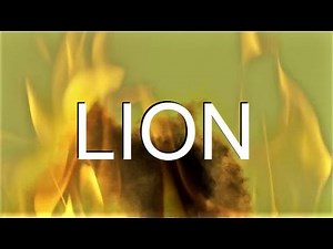 LION - Elevation Worship (Feat. Brandon Lake) (Lyric video by JEM Muzic)