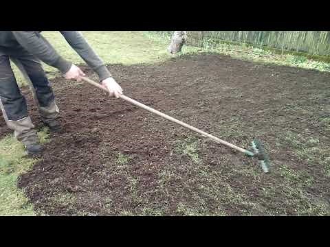 TERREAUTAGE GAZON après SCARIFICATION