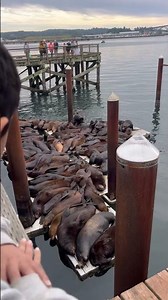Whale watching capitol at Depoe Bay Oregon #beach #whale #oregon