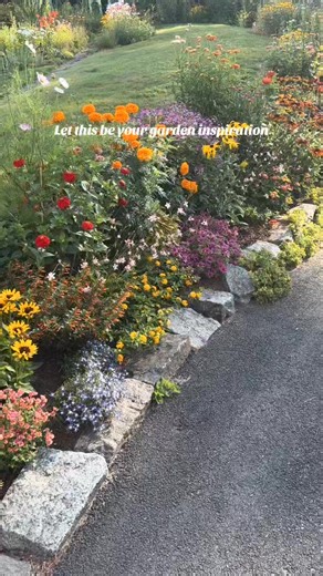 Want a beautiful garden without blowing your budget? Here’s how I save money and still get tons of blooms: 💰 Buy compost and topsoil in bulk from a local supplier—it’s way cheaper than bagged. 🪴 Pick up young plants in cell packs at farmers markets or local nurseries. ⏳ Be patient—many perennials take time to fill in, but they’ll multiply on their own. 🌼 Choose perennials over annuals. Plant once, enjoy for years. Some of my favorite spreaders? Black-eyed Susan, bee balm, catmint, yarrow, and