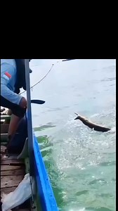 Fishing #fbreels #followers | Crystal Handmade