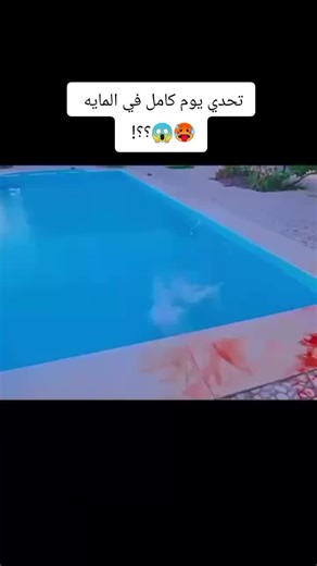 تحدي يوم كامل في المايه 🥵😱؟؟!(part 6) #al_hassan_adel #al_hosin_adel #zainab_ebrahim_زينب_ابراهيم @🔥Al-hassan Adel❄️ @🕊Al-hosin Adel👊 @Zainab Ibrahim - زينب ابراهيم