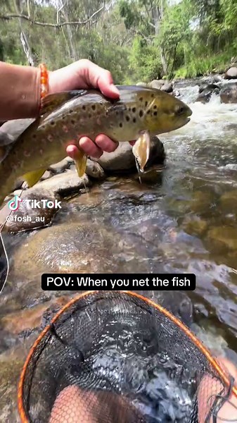 Exciting Fishing Adventures: Catching Fish with Flair