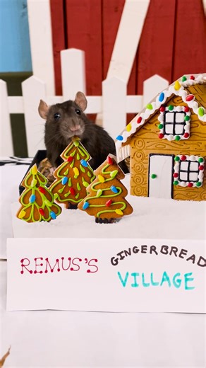 22K views · 184 reactions | Everyone's getting in the holiday spirit over here...❄️ | Philadelphia Zoo | Facebook