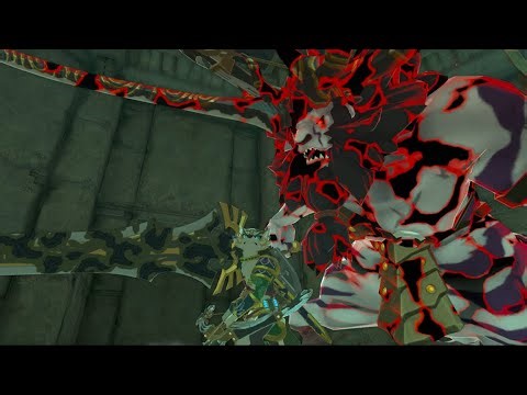 Wolf Link vs Colosseum Lynels | No Damage - The Legend of Zelda Tears of the Kingdom