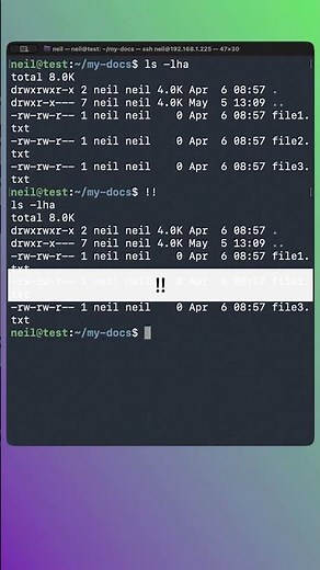 Another Way to Rerun the Last Command on the Linux Terminal