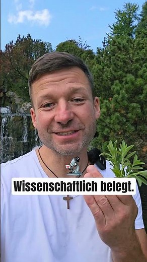 WOW. 300x süßer als Zucker – Diese Pflanze musst du kennen!