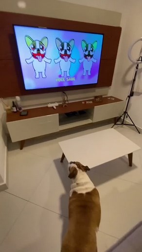 Cocomelon - Nursery Rhymes on Reels