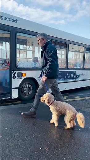 Travelling with Pets - Bus Travel