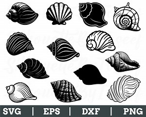 Conch Shell Svg, Conch Shell Silhouette, Conch Shell Vector, Dxf, Png - Etsy UK