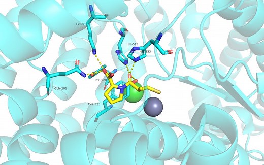 Pymol中7步完成蛋白配体复合物作图