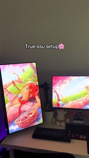 Comp setup❌ Osu setup✅ #osu #comp #setup #tech #Raven