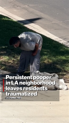 Persistent pooper in LA neighborhood leaves residents traumatized