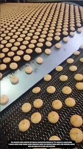 Automated cookie forming and conveyor baking process in industrial production