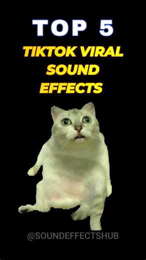Ranking Top 5 Funny Tiktok Sound Effects 😹🔥