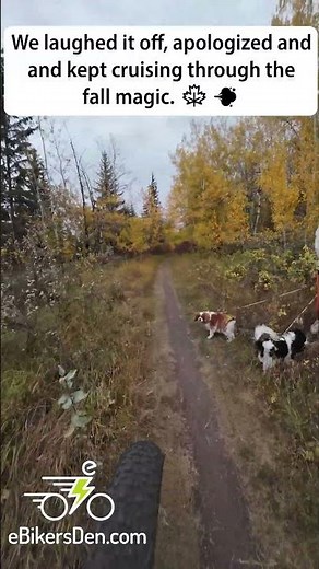 Fall Ride on the Fort Saskatchewan River Valley Trails 🍁