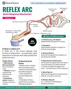 14K views · 168 reactions | Ever touched something hot and pulled...