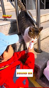 75K views · 1.8K reactions | Toddlers and their companionship with kitties is pure cinema❤ | Molly | Facebook