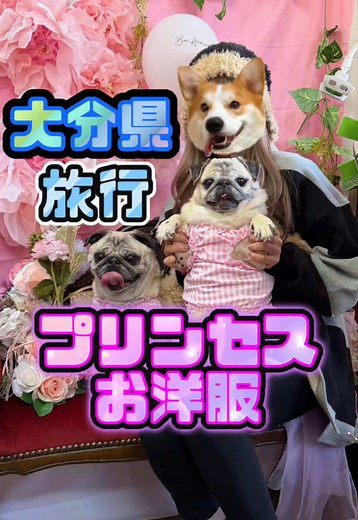 大分県の旅行編：ファビュラスなお店を発見！