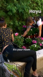 Kat opens up to Heather about people on the internet commenting on her sexuality. #RHOC | Hayu