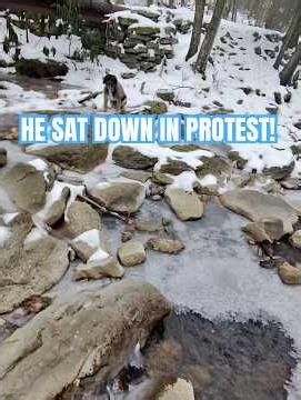 Stream crossing debacle, Part 2