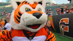 Bengals' mascot Who Dey gives 2018 season outlook