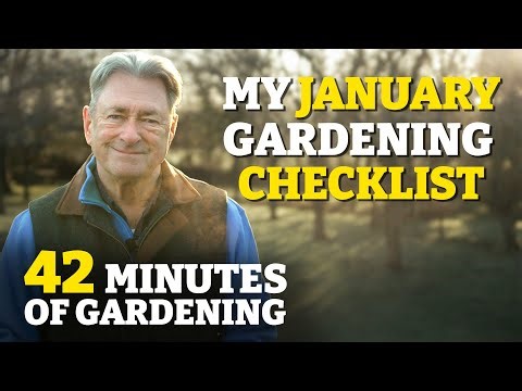 What I Wish Every Gardener Knew About January Prep!