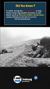 Dig or Die: How Allied Soldiers Survived Anzio in 1944