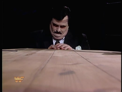 WWF SUPERSTARS 1994.1.29