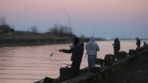 Eating Just 1 Fish From Great Lakes Equal to Drinking Month's Worth of Water Contaminated With 'Forever Chemicals,' Study Finds