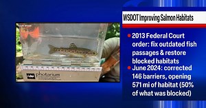 Department of Transportation culvert projects restore salmon habitat across Washington