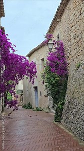High-definition vertical video footage of a charming village street in L'escala, Spain, featuring a bird flying and vibrant purple bougainvillea flowers.