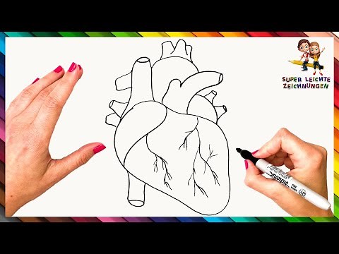 Wie Man Ein Menschliches Herz Zeichnet Schritt Für Schritt 🫀 Menschliches Herz Zeichnen Leicht