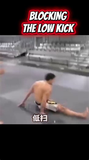 How to block the inside low kick #mma #lowkick #americanfreefight | Martial Arts and Fitness