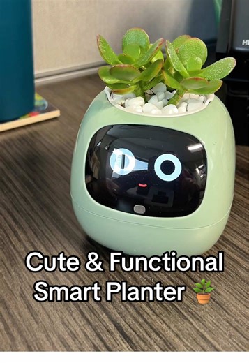 Setting up my AI smart planter and I’m honestly impressed. It connects to an app, reacts to your plant’s needs, and takes the guesswork out of plant care. Perfect for a desk, office, or anyone who struggles to keep plants alive. This makes plant care way less intimidating and way more fun. #planter #robots #aiplanter #gardening #greenthumb