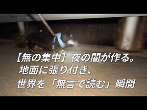 Ep.738夜の嗅覚「光はいらない」。暗闇で地面を制する、黒犬ココの集中力