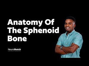 Anatomy of Sphenoid bone| Approaching Cranial Cavity