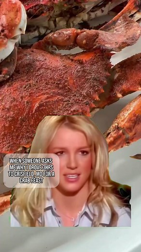 Feast on Maryland Blue Crabs at The Crab Place