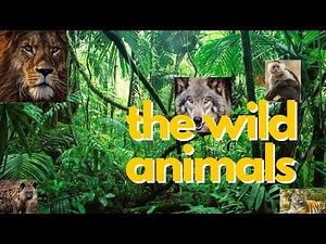 Wild Animals For Kids// Real Animal Pictures with Names