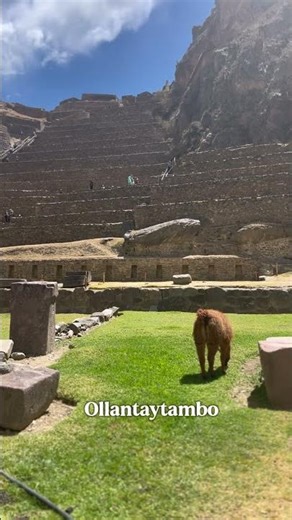 From terraces to table - how the #incas culture shaped the #peruviancuisine today